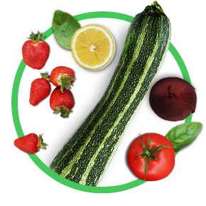 Productos de la huerta